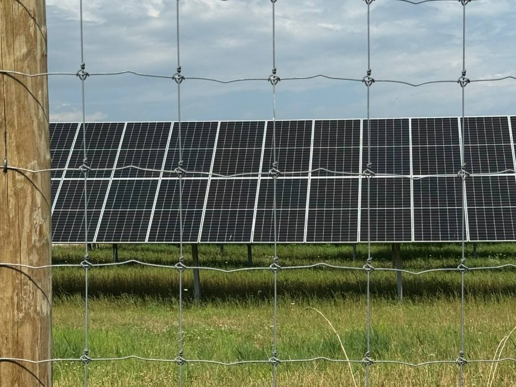 IMG_1729 Jill McConnell-1