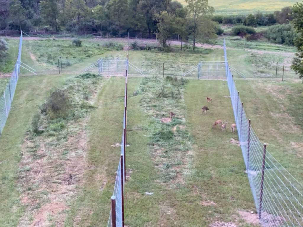 Straight Shooter Game Fence with Animals Jill McConnell-1