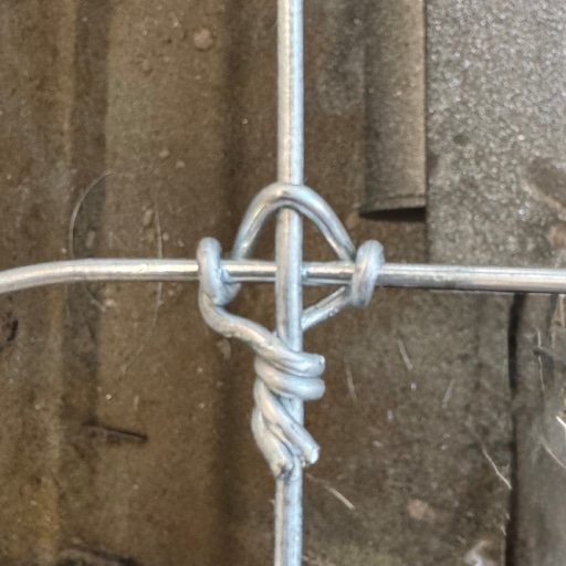 cropped-bull-barn (1)